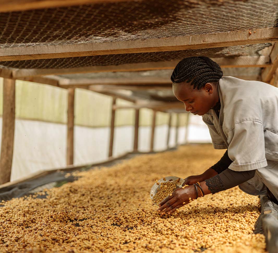 rwandan coffee