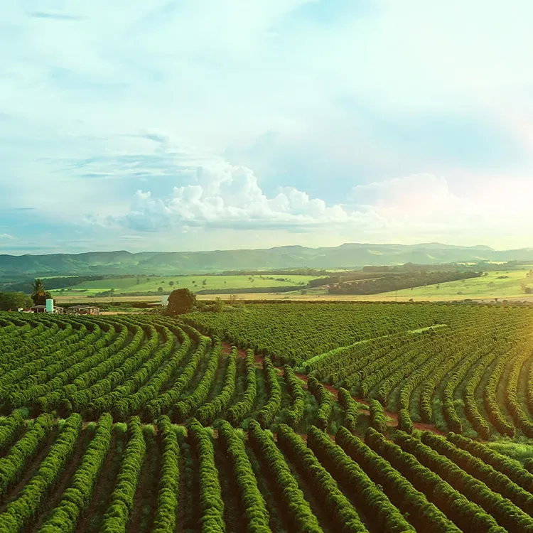 sustainable and regenerative benefits